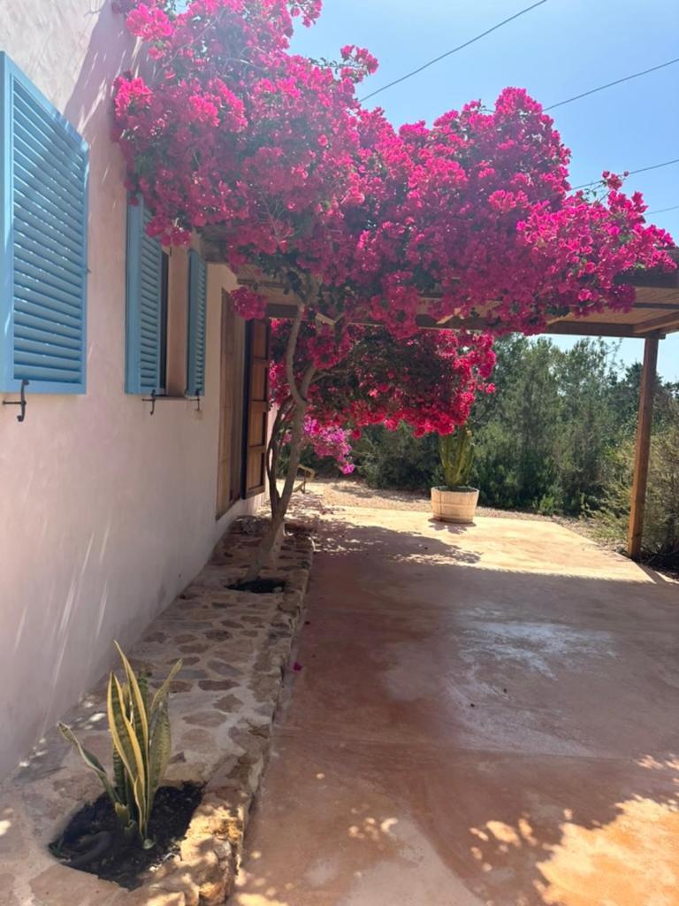 Villa Casa Rustick à San Francisco Javier Extérieur photo
